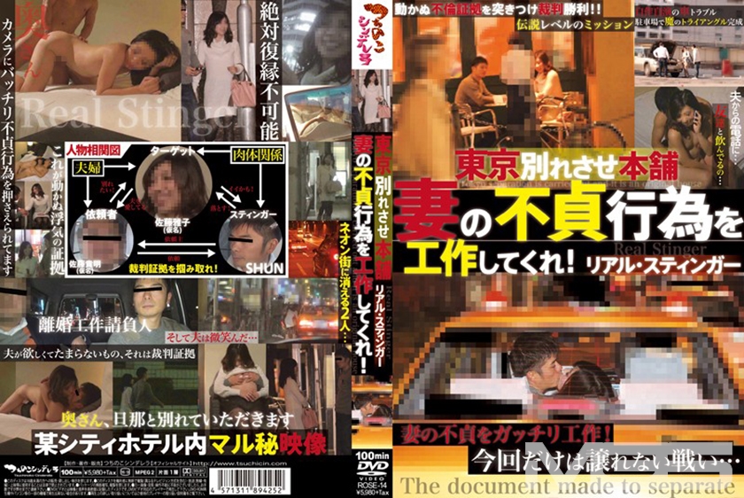東京別れさせ本舗 妻の不貞行為を工作してくれ！ リアル・スティンガー